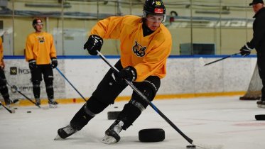 Фото: Череповецкий "Алмаз" начал ледовые тренировки в преддверии нового сезона