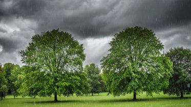 Фото: Синоптики предупреждают жителей Вологодчины о дождях и грозах
