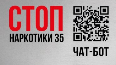 Фото: В чат-бот «СТОП наркотики 35» уже поступило более 1200 сообщений