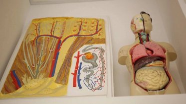 Фото: Череповец оснащает медицинские классы современным оборудованием