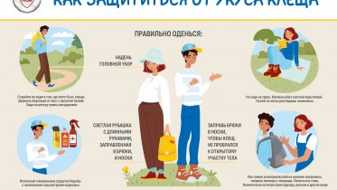 Фото: Более 15 тысяч жителей Вологодской области пострадали от укусов клещей