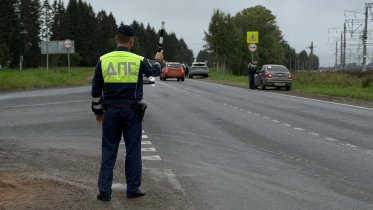 Фото: Почти 50 нетрезвых водителей выявлено на дорогах Вологодской области