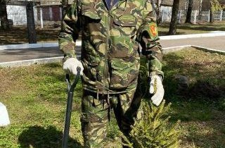 Фото: Руководство министерства лесного комплекса Вологодской области отправлено в отставку