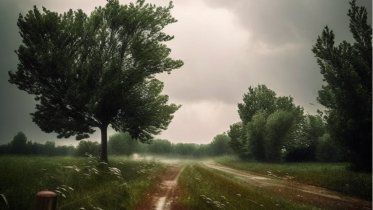 Фото: Жителей Вологодской области предупредили об ухудшении погоды