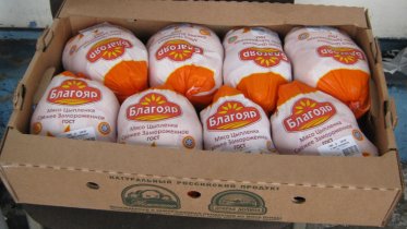 Фото: Вспышка сальмонеллёза в детских садах Коми: виновником стала продукция шекснинской птицефабрики