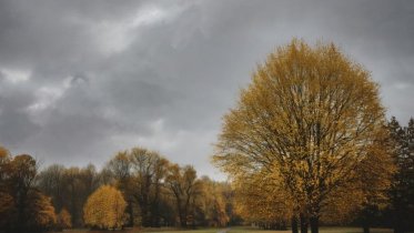 Фото: Золотая осень в Вологодской области: прогноз погоды на начало октября