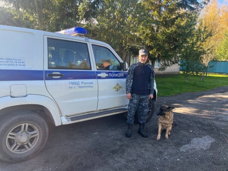 Фото: Успешные поиски: служебная собака нашла потерявшихся детей в Череповце