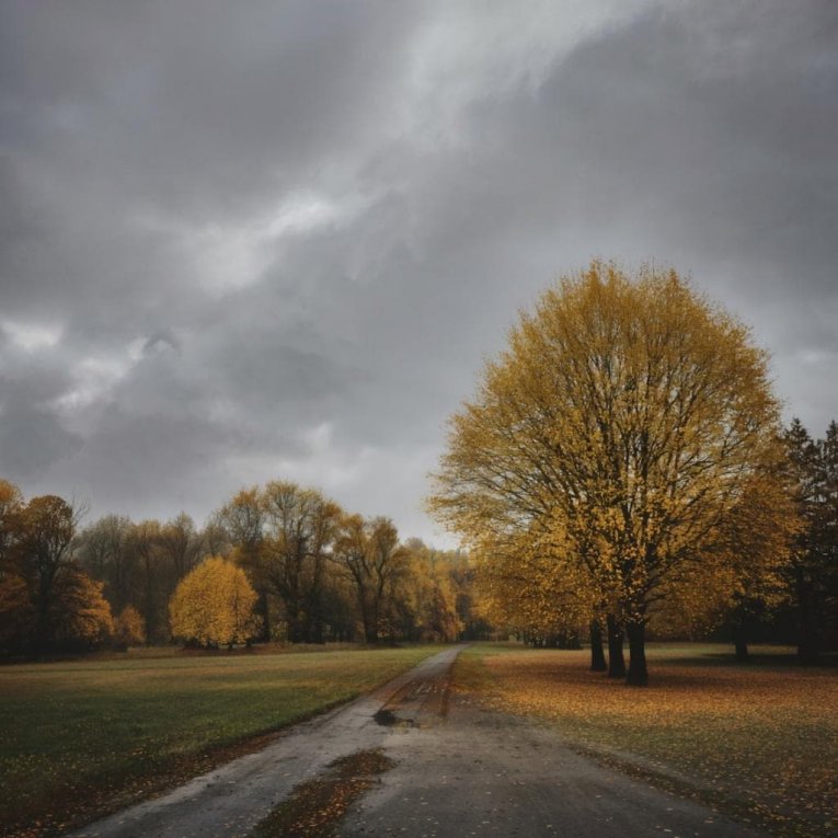 Фото: В Вологодскую область пришли осенние дожди