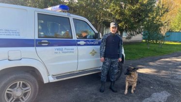 Фото: Успешные поиски: служебная собака нашла потерявшихся детей в Череповце