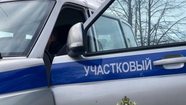 Фото: Житель Вологды задержан в Череповце за мошенничество при продаже автомобильных шин