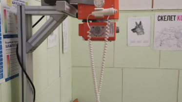 Фото: Ветеринарная служба Вологодской области получила современное диагностическое оборудование