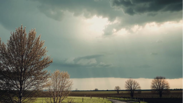 Фото: Прогноз погоды в Вологодской области: тепло продлится до конца октября