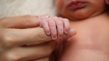 Фото: В Вологодской области отмечается положительная демографическая динамика