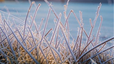Фото: Похолодание пришло в Вологодскую область