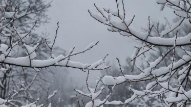 Фото: Холода наступили: Вологодская область встречает снежный фронт