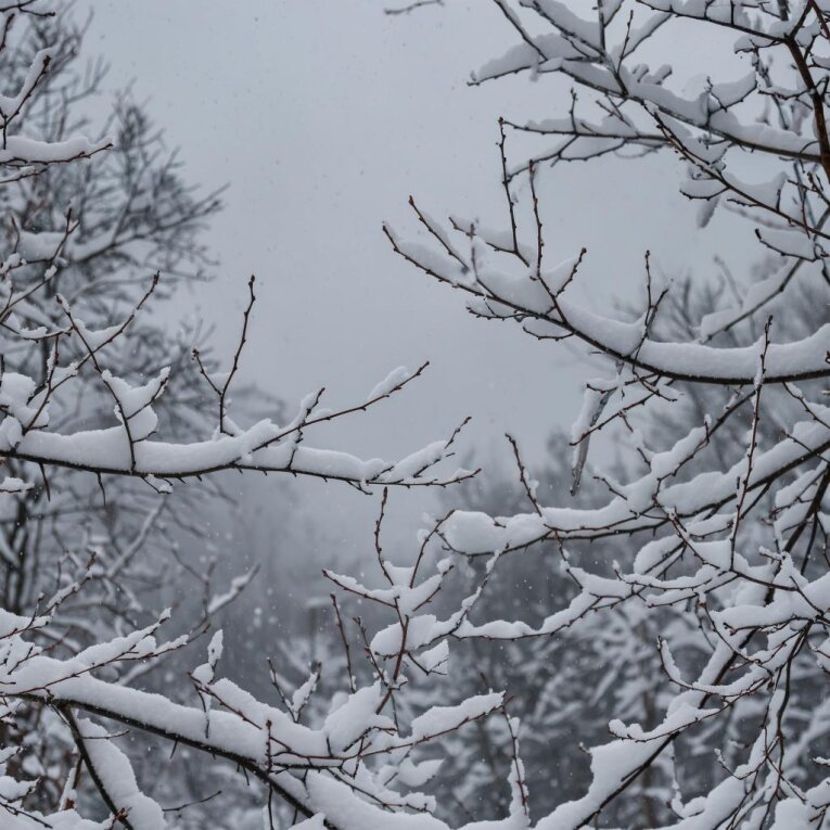 Фото: Вологодчину ждёт резкое похолодание: на смену теплу придут снегопады и морозы до −20 °C