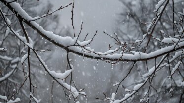 Фото: К Новому году на Вологодчине установится умеренно морозная погода: прогноз до 31 декабря