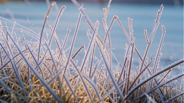 Фото: Начало зимы в Вологодской области обещает быть теплым