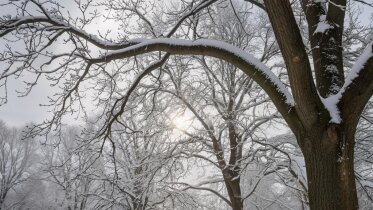 Фото: Оттепель с резким похолоданием: прогноз погоды в Вологодской области