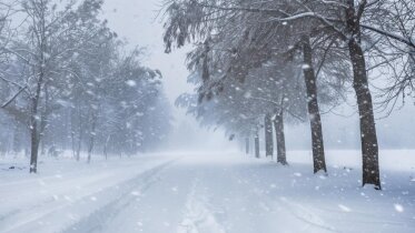 Фото: Вологодчина замерзает: регион накрыла волна арктических морозов
