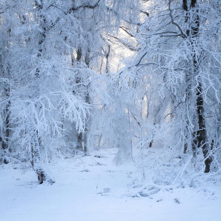 Фото: Февраль на Вологодчине завершается морозами, но в пятницу придёт потепление