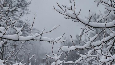 Фото: Календарная весна на Вологодчине начнётся с оттепели