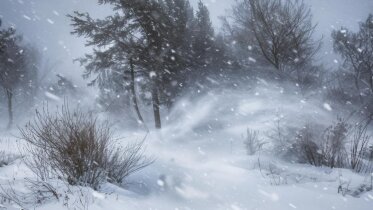 Фото: Снегопады вместо оттепели: какой погоды ждать в Вологодской области в ближайшие дни