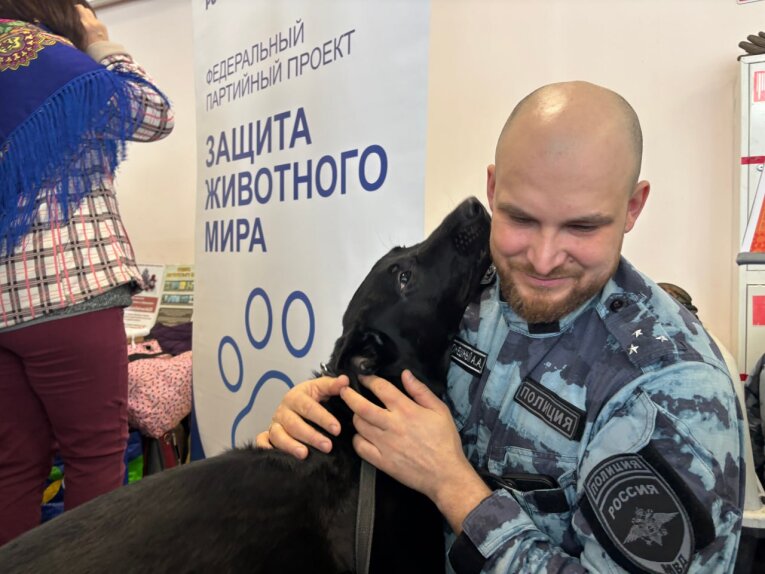 Фото: В Череповце кинологи со служебными собаками поддержали акцию в помощь бездомным животным
