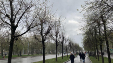 Фото: Похолодание после ранней весны: Вологодчину ждут ночные заморозки