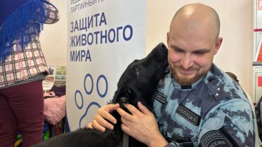 Фото: В Череповце кинологи со служебными собаками поддержали акцию в помощь бездомным животным