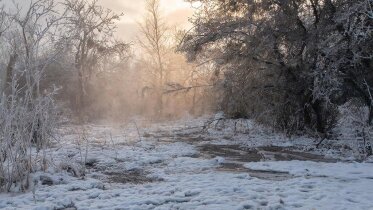 Фото: Вологодчина продолжит наслаждаться весенним теплом