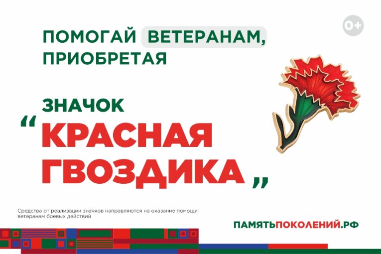 Фото: Символ благодарности: «Красная гвоздика» вновь расцветает в Вологодской области