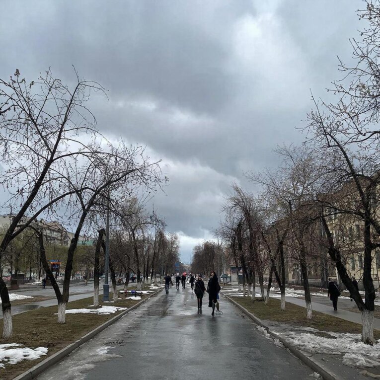 Фото: В Вологодской области ожидаются «погодные качели»: от дождя к снегу и обратно