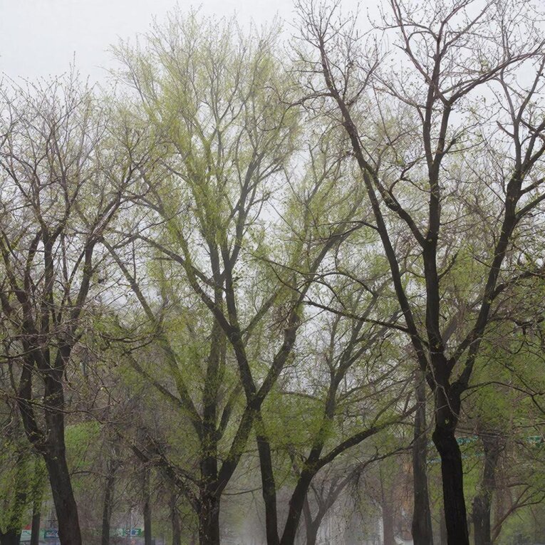 Фото: Вологодская область до конца недели останется во власти прохладной и неустойчивой погоды