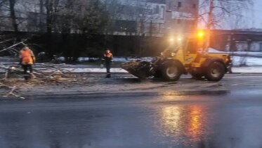Фото: В Череповце из-за непогоды упали деревья