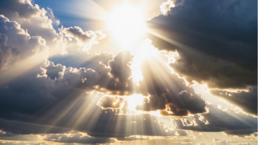 Фото: В Вологодской области установится тёплая погода без дождей: антициклон обеспечит комфортную неделю