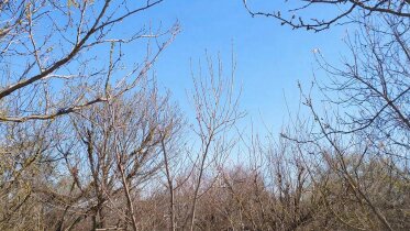 Фото: Циклон отступает: в начале мая в Вологодской области станет теплее