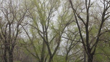 Фото: Вологодская область до конца недели останется во власти прохладной и неустойчивой погоды