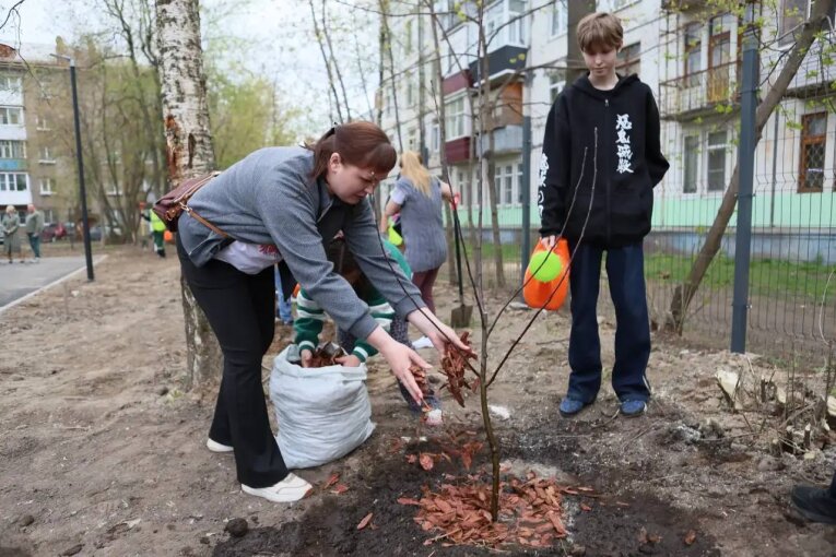 Фото: Яблоневую аллею в честь участников СВО высадили у «Дома СВО» в Череповце