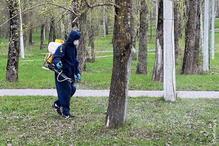 Фото: В Череповце городские территории обрабатывают от клещей