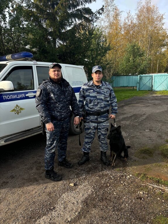 Фото: Кинологи с собакой нашли пропавших в Череповце школьниц