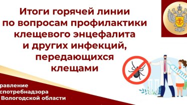 Фото: Рост укусов клещей в Вологодской области: более 4 600 пострадавших с начала сезона