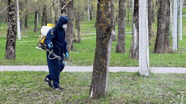 Фото: В Череповце городские территории обрабатывают от клещей