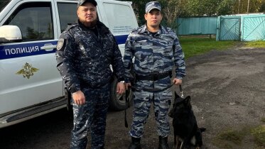 Фото: Кинологи с собакой нашли пропавших в Череповце школьниц