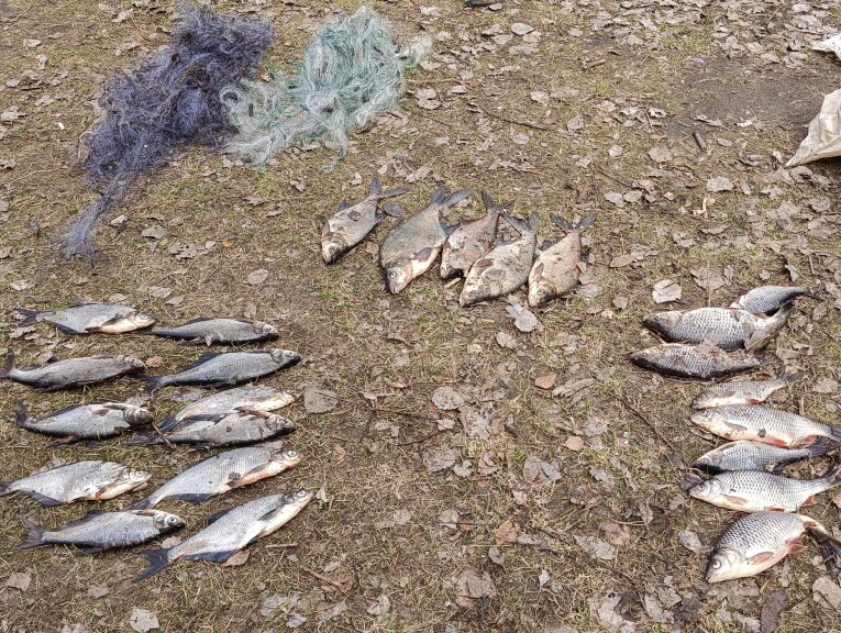 Фото: Транспортная полиция пресекла незаконный лов на Рыбинском водохранилище