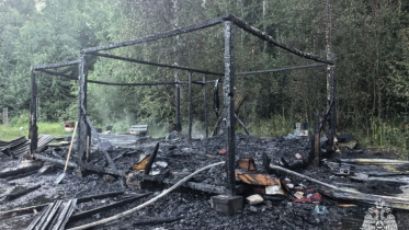 Фото: В Шекснинском округе мужчина погиб при пожаре
