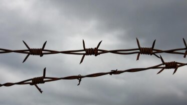 Фото: Житель Череповца осуждён на 9 лет за убийство на улице Наседкина