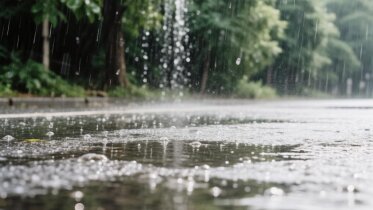 Фото: В Вологодской области на неделе сохранится неустойчивая погода с дождями 