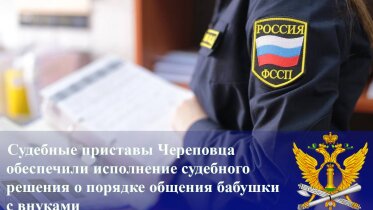 Фото: Судебные приставы Череповца помогли бабушке восстановить общение с внуками